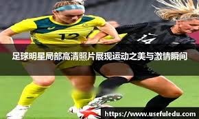 会锚定对