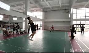 大罗谈安切洛蒂与巴西谈判：当时如果皇马放人，他就会来巴西